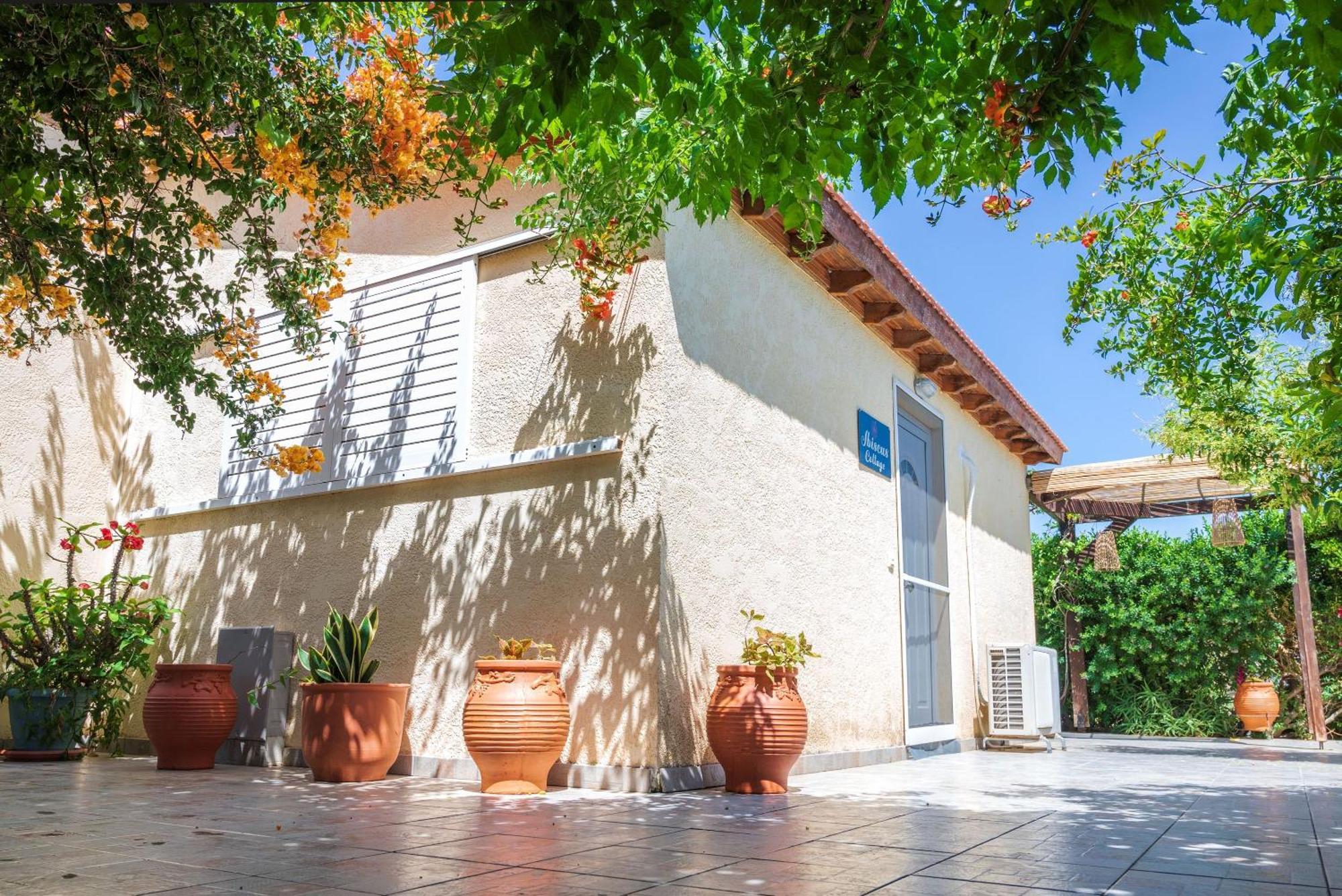 Holiday home Ibiscus In Paradisi Near The *